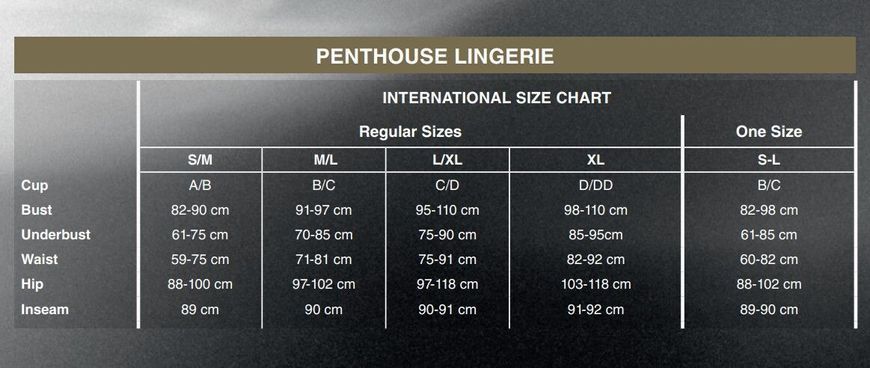 Боді з глибоким декольте та високими трусиками Penthouse - Toxic Powder Black S/M SO9599 фото